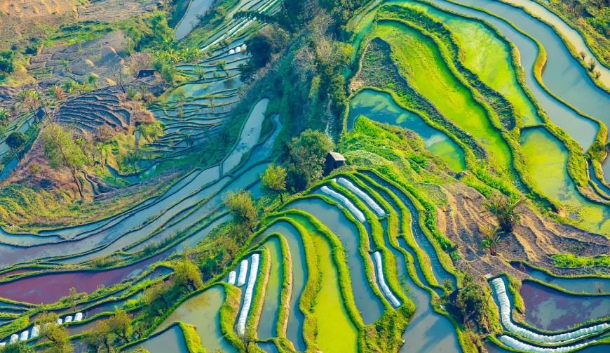 宿城区广告片拍摄公司数字技术驱动的广告革命